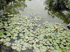 绿化设施-珠海圆明新园
