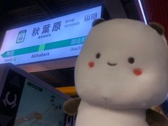 -天天玩X秋葉原日系动漫游戏中心