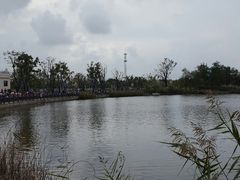 -上海长兴岛郊野公园