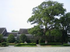 -八大山人梅湖景区