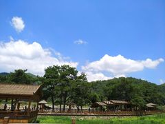 -仙水洋