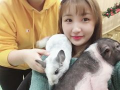 -藦茜花园宠物主题亲子互动体验馆(国顺东路店)