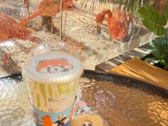 -ZOO COFFEE动物园咖啡(红山森林动物园店)