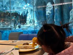 -帝企鹅自助餐厅•儿童岛•真企鹅(长隆企鹅酒店)