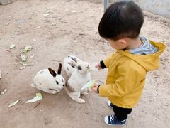 -前小桔亲子创意农场·草莓采摘·露营烧烤