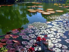 -国家植物园南园