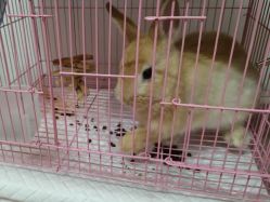 -西瓜庄园儿童摄影