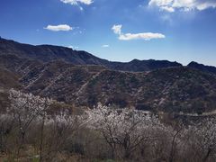 -妙峰山风景名胜区