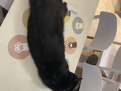 -小时光咖啡馆(北锣鼓巷店)