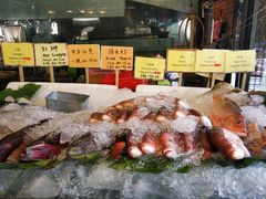 -大树下海鲜饭店