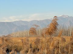 -野鸭湖国家湿地公园