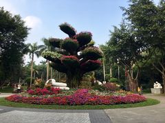 -广州雕塑公园