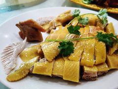 -新合益乡村农庄
