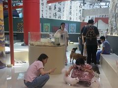 -鹏欣水游城