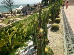 -广东惠东海龟国家级自然保护区