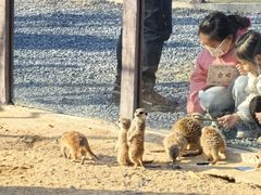 -茅山东方盐湖城景区