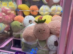 -+WAWA夹娃娃专门店·抓娃娃