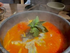 酸汤鱼-毛辣果·酸