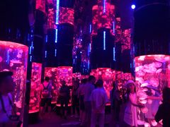 -成都浩海立方海洋公园