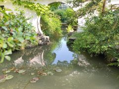 -上海醉白池公园