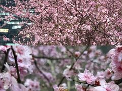 -龙湖杭州滨江天街