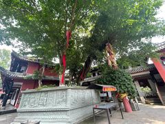 -黄龙溪古镇-古龙寺