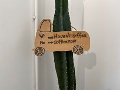 -收获咖啡HARVEST RESERVE(苍山店)