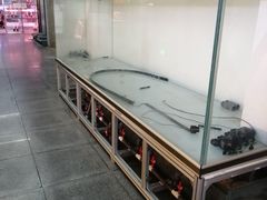 -中环花鸟鱼虫市场