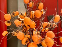 -柿合缘新京菜(静安嘉里中心店)