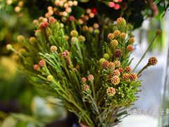 -杭州街角花屋花店(闻堰店)