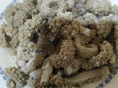 -老爆肚满五香烧牛羊肉