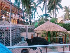 -三亚亚龙湾天域度假酒店