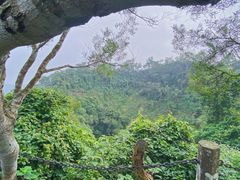 -海口火山口国家地质公园
