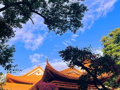 -深圳仙湖植物园