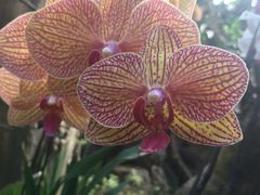 -南通洲际绿博园