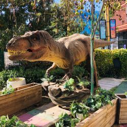 -萌宠亲子动物乐园(槐房万达店)