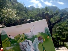 -龙湾潭国家森林公园