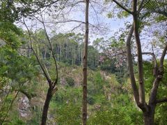 -火炉山森林公园