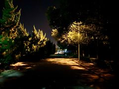 -南京理工大学紫金学院