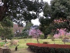 -普陀山祥生大酒店