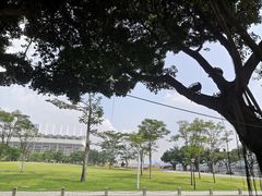 -二沙岛艺术公园