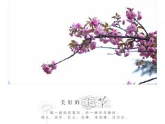 -西安青龙寺遗址景区