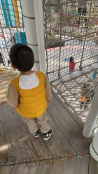 点击看大图 -季高兔窝窝亲子园(上海薰衣草公园店)