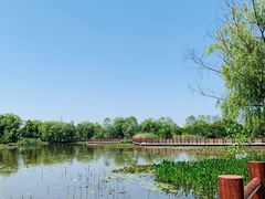 -长兴太湖图影湿地文化园