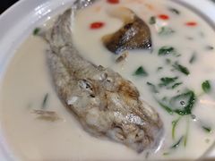 养颜白汁河豚-肆月河豚·新淮扬(金融街店)