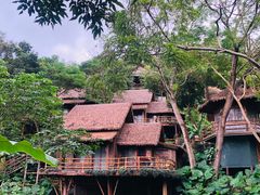 -海南槟榔谷黎苗文化旅游区