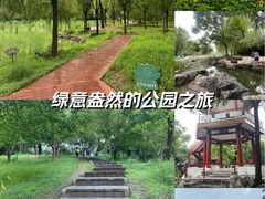 -莲花池公园