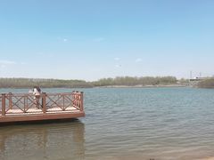 -丁香湖公园