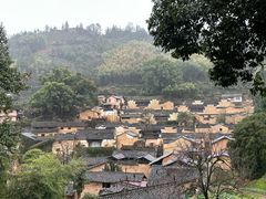 -杨家堂村