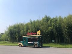 -黄海国家森林公园